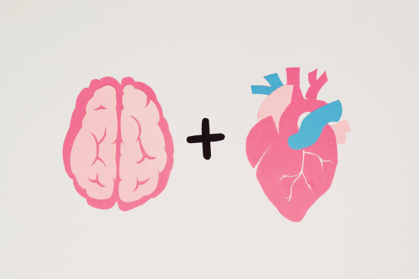 Menopause and Cardiovascular Risk: A Comprehensive Guide