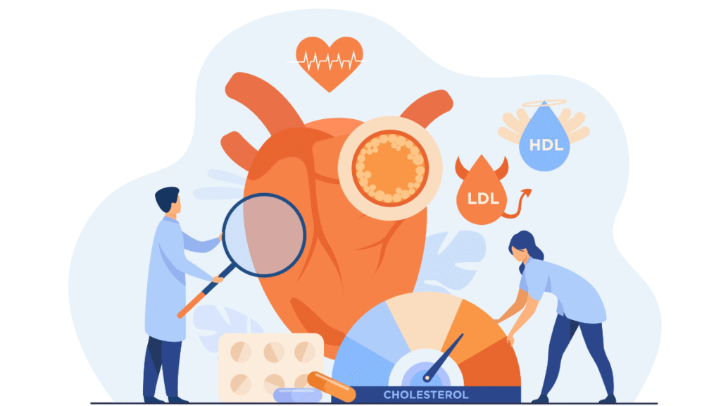 cholesterol in females