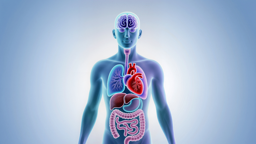 exercise for nervous system