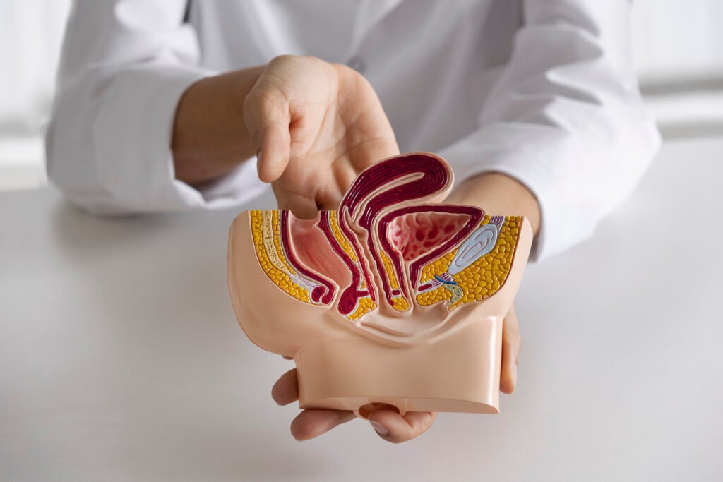 Uterine fibroids symptoms, diet and treatment options, Art of Wellness by nutritionist Nidhi Kakar